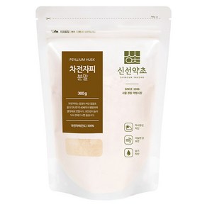 신선약초 차전자피분말, 300g, 1개