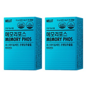 웰릿 메모리포스, 30정, 2개