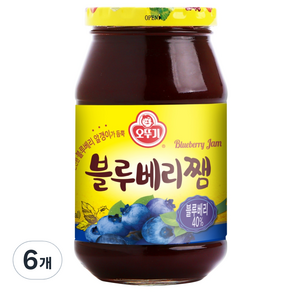 오뚜기 블루베리쨈 500G, 6개