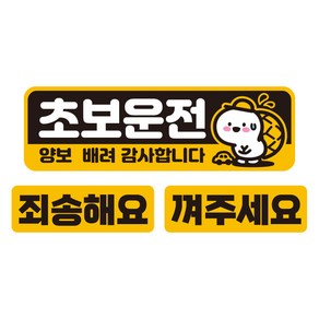 제제데코 초보운전 칼라 고휘도 육각 반사 자석 스티커 대형 + 소형 2p 세트 UC009, 초보거북이, 1세트