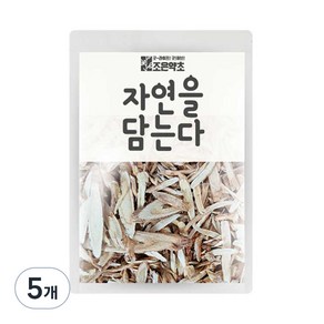 조은약초 자연을 담는다 황기 소, 400g, 5개