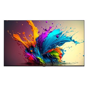 LG전자 4K UHD QNED evo TV 방문설치, 217cm(86인치), 86QNED91TKA, 벽걸이형