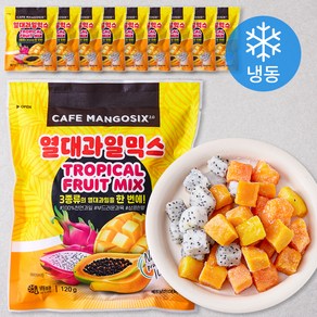 망고식스 열대과일믹스 (냉동), 120g, 10개