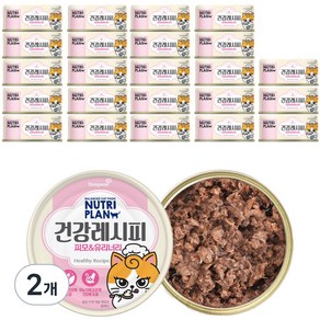 동원뉴트리플랜 고양이 건강 레시피 피모 간식캔, 참치, 90g, 48개