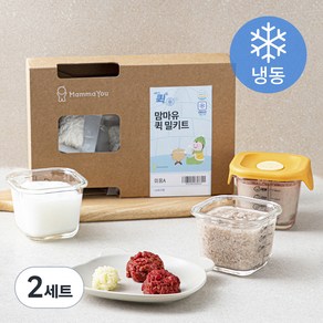 맘마유 퀵 밀키트 미음 A플랜 170g (냉동), 2세트, 혼합맛(쌀/양배추/한우)