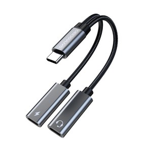 바라보고 USB C to C 타입 이어폰 PD 60W 고속 충전 듀얼 젠더 TA2H