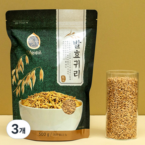 올고진 발효 귀리, 500g, 3개