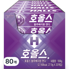 호올스 블루베리향 캔디