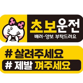 제제데코 초보운전 자동차 탈부착 자석 고휘도 반사 스티커 시트지 미디엄 E230 EC008 + EC048 세트