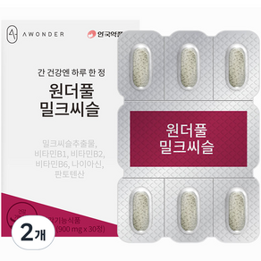 안국약품 원더풀 밀크씨슬 27g, 2개, 30정