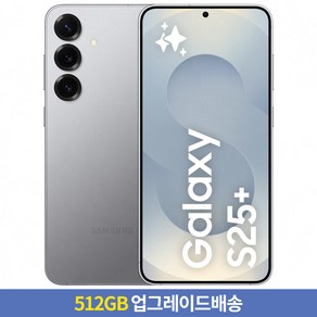 [256GB → 512GB 업그레이드] 갤럭시 S25+ 자급제 SM-S936N, 실버 쉐도우, 256GB