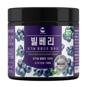 해나식품 유기농 동결건조 와일드 빌베리 분말, 1개, 100g