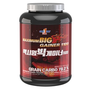 원데이뉴트리션 맥시멈 빅 게이너 1100, 2kg, 1개