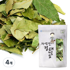 월드블링 국내산 감태나무잎, 500g, 4개