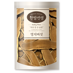 한방선생 국내산 절단 영지버섯, 200g, 1개