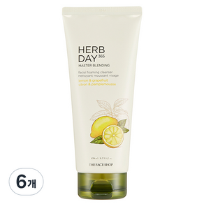 더페이스샵 허브데이 마스터 블렌딩 페이셜 클렌징폼 레몬, 170ml, 6개