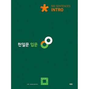 천일문 입문 Into 500 Sentences, 영어