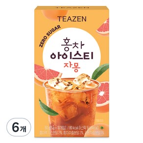 티젠 홍차 아이스티 자몽, 5g, 10개입, 6개