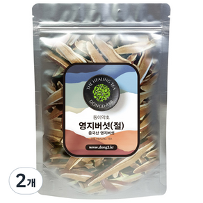 동이약초 중국산 영지버섯 절, 150g, 2개