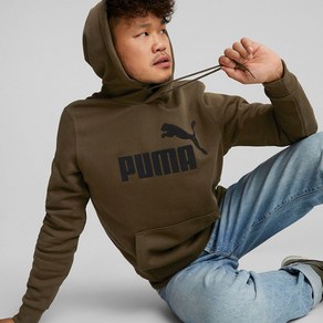 [PUMA]푸마_남성용_에센셜+ 플로크 후디 FL_ESS+ FLOCK HOODIE FL