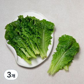 국내산 아삭한 상추, 150g, 3개