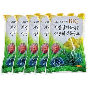 가든그린 바이오세라믹 다육이흙, 5개, 2L