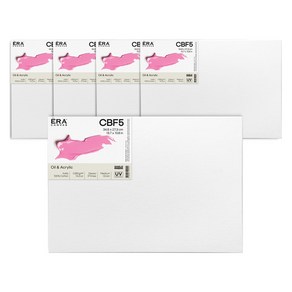 쉴드 에라 캔버스 보드 CBF형 5p, 면천