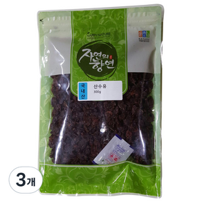 청명약초 산수유, 300g, 3개