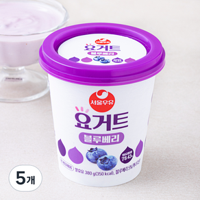 서울우유 요거트 블루베리, 380g, 5개