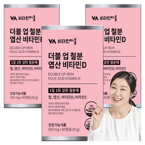 비타민마을 와이즈 더블업 철분 엽산 비타민D, 60정, 3개