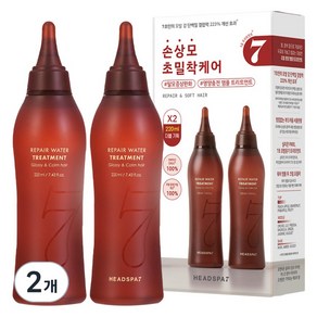 헤드스파7 리페어 워터 헤어 트리트먼트 220ml 2세트, 2개, 440ml