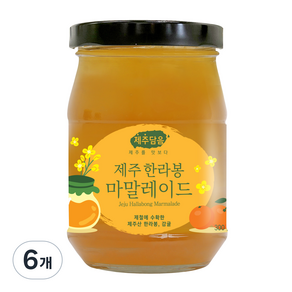 오뚜기 제주담음 한라봉 마말레이드 잼, 300g, 6개