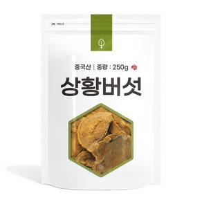 자연초 상황버섯, 250g, 1개