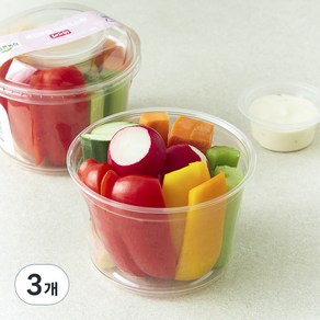 All바른농장 레인보우 샐러드스틱 래디쉬, 300g, 3개