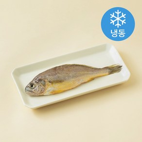 초록바다 품질 인증 굴비 (냉동), 150g, 1개