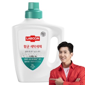 랩신 항균 솔잎향 액상세제 본품, 3L, 1개