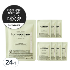 홈백신 스탠드형 제습제 본품, 250g, 24개