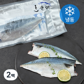 한올레 제주 고등어살 프리미엄 (냉동), 540g, 2팩