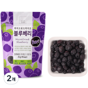 딜라잇가든 마이크로드라이드 블루베리, 2개, 25g