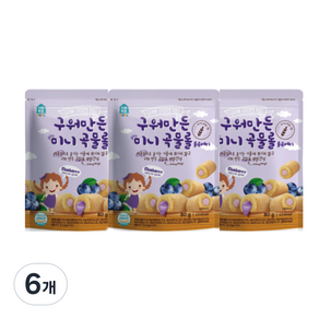 홈앤키즈 구워만든 미니 곡물롤, 블루베리맛, 80g, 6개