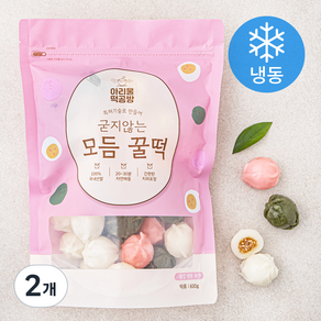 아리울떡공방 굳지않는 모듬 꿀떡 (냉동), 600g, 2개