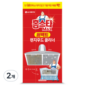 홈스타 맥스 퍼펙트 렌지후드 클리너, 2개, 450ml