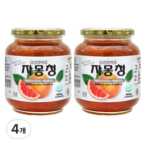 견과공장 자몽청, 950g, 1개입, 4개