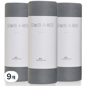 블루버킷 오늘의 수세미 60p, 9개, 그레이