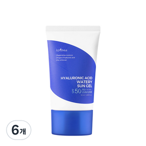 이즈앤트리 히아루론산 워터리 선 젤 SPF50+ PA++++, 50ml, 6개