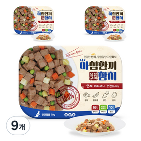 오아오 강아지 전연령용 아침한끼 오븐구이 참치 습식사료, 생선, 70g, 9개