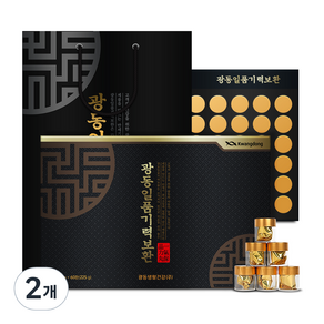 광동 일품기력보환 60환 + 쇼핑백 세트, 225g, 2개