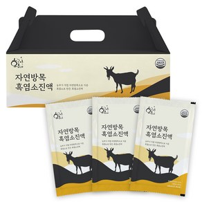 황금이네 자연방목 암 흑염소 진액 30p, 3L, 1개