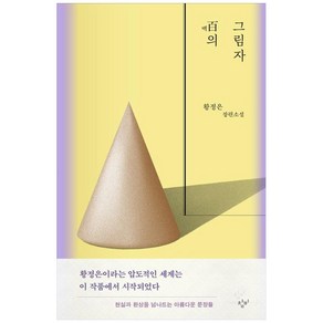 백의 그림자(큰글자도서), 황정은, 창비