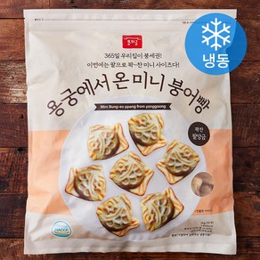 용의궁 용궁에서 온 미니 붕어빵 팥앙금 (냉동), 1kg, 1개